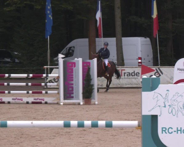 Reitturnier Ranshofen - Braunau am Inn 2024