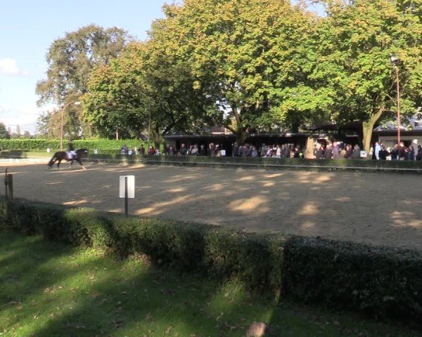 Reitturnier Bottrop-Kirchhellen 2024