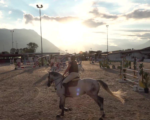 Reitturnier Giubiasco 2024