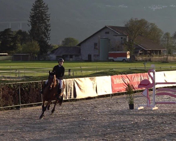 Reitturnier Giubiasco 2024