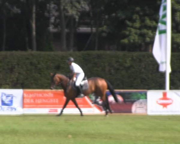 Reitturnier Münster-Handorf 2013
