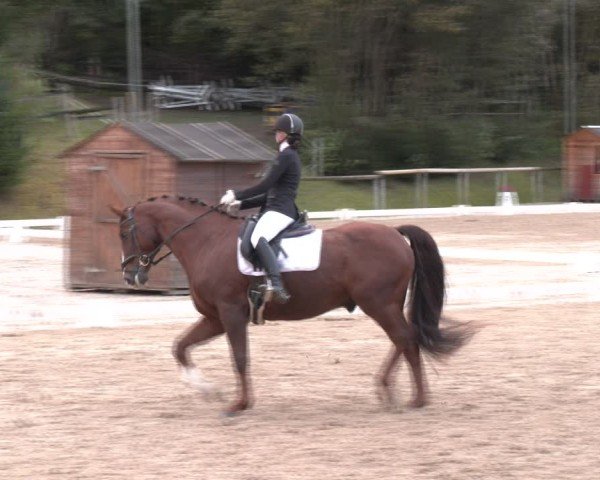 Reitturnier Igls 2024