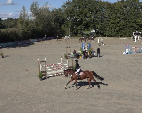 Reitturnier Scharnebeck 2024