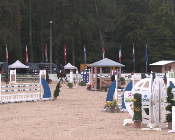 Reitturnier Ranshofen - Braunau am Inn 2024