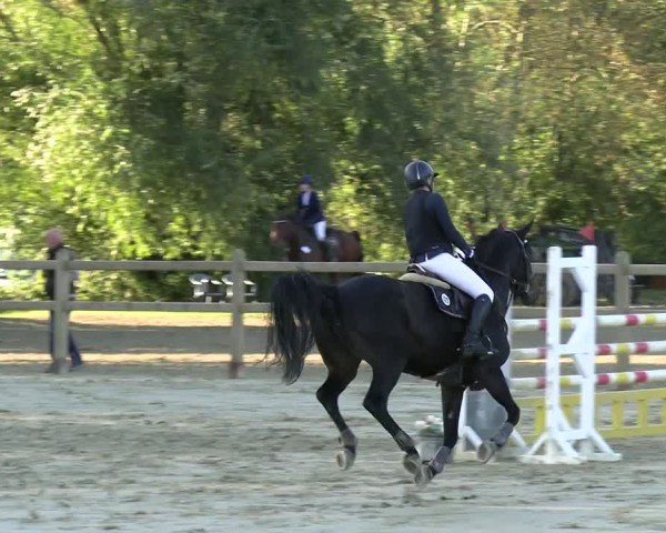 Reitturnier Kamen 2024