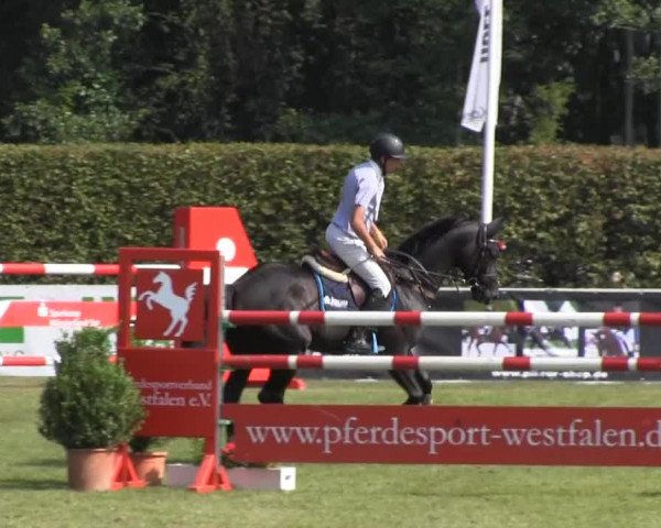 Reitturnier Münster-Handorf 2013