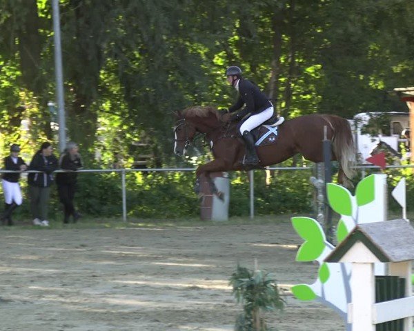 Reitturnier Kamen 2024