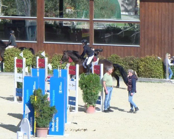 Reitturnier Dielsdorf 2024