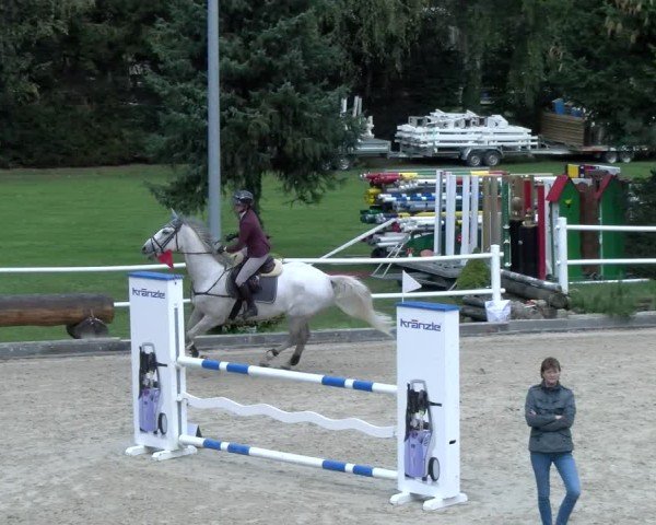 Reitturnier Dielsdorf 2024
