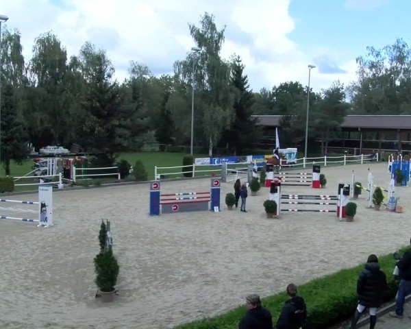 Reitturnier Dielsdorf 2024