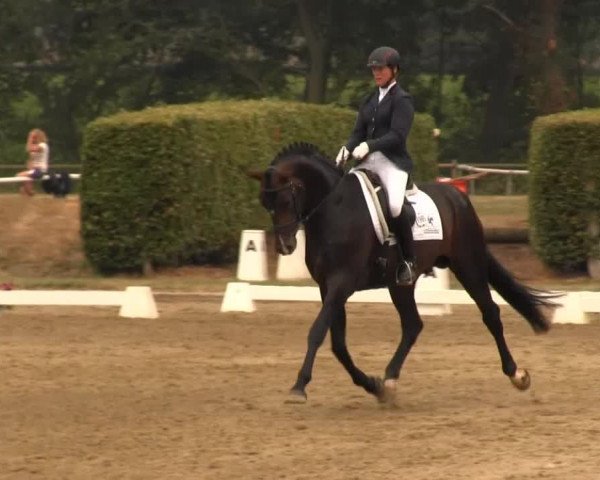 Reitturnier Münster-Handorf 2013