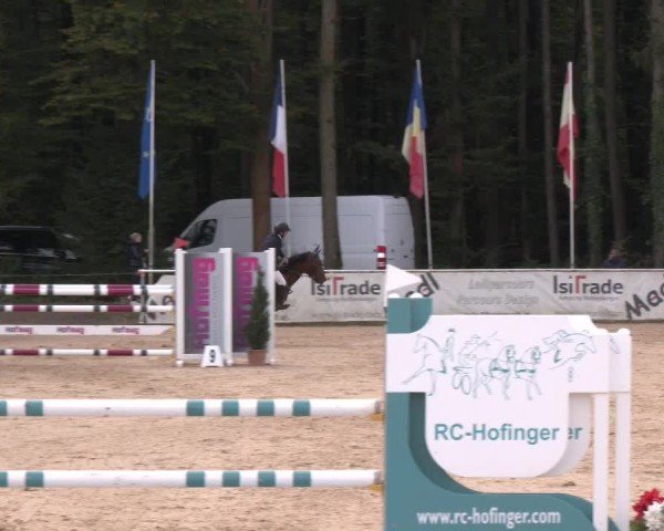 Reitturnier Ranshofen - Braunau am Inn 2024