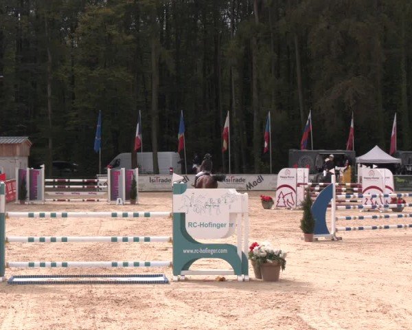 Reitturnier Ranshofen - Braunau am Inn 2024