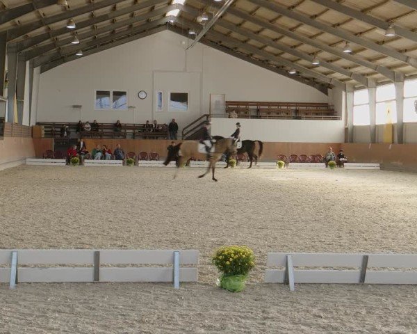 Reitturnier Frechen-Grefrath - Sonnenhof 2024