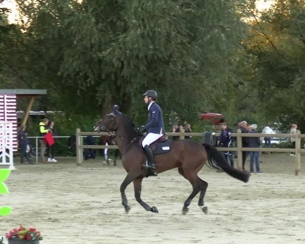 Reitturnier Kamen 2024