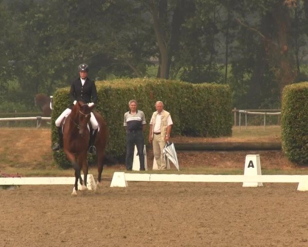 Reitturnier Münster-Handorf 2013