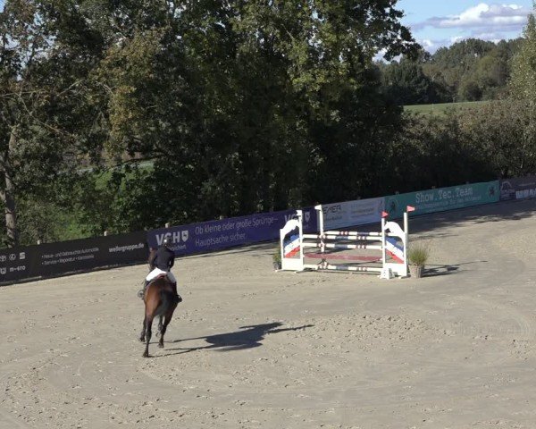 Reitturnier Scharnebeck 2024