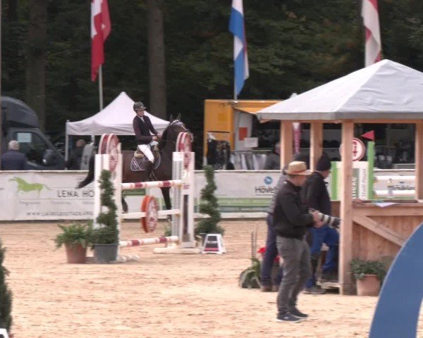Reitturnier Ranshofen - Braunau am Inn 2024
