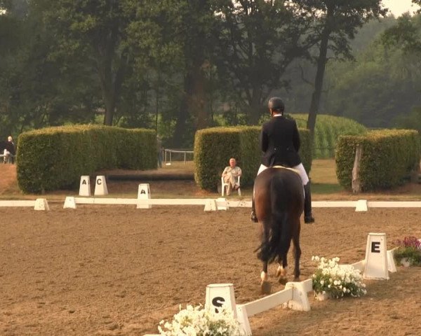 Reitturnier Münster-Handorf 2013
