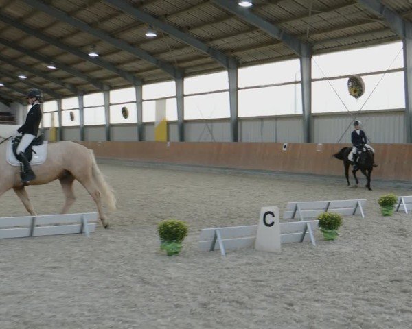 Reitturnier Frechen-Grefrath - Sonnenhof 2024