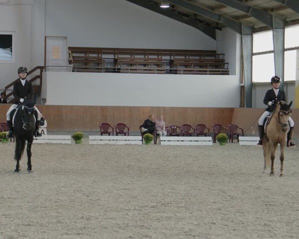 Reitturnier Frechen-Grefrath - Sonnenhof 2024