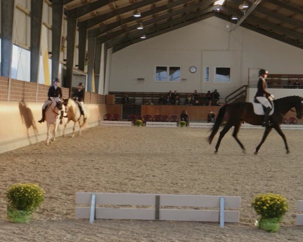 Reitturnier Frechen-Grefrath - Sonnenhof 2024