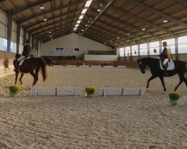 Reitturnier Frechen-Grefrath - Sonnenhof 2024
