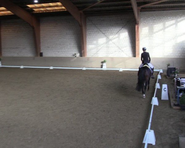 Reitturnier Kamen 2024