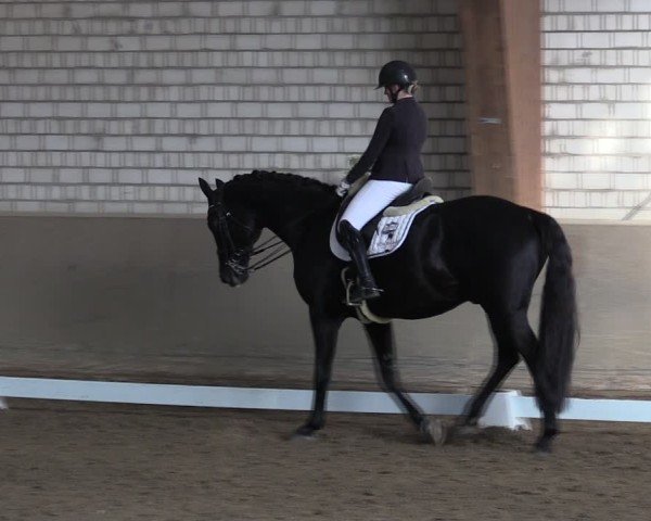 Reitturnier Kamen 2024