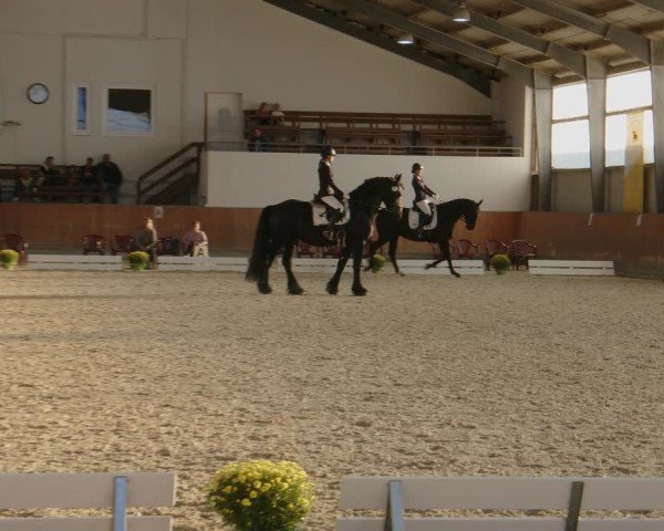 Reitturnier Frechen-Grefrath - Sonnenhof 2024