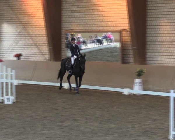 Reitturnier Kamen 2024