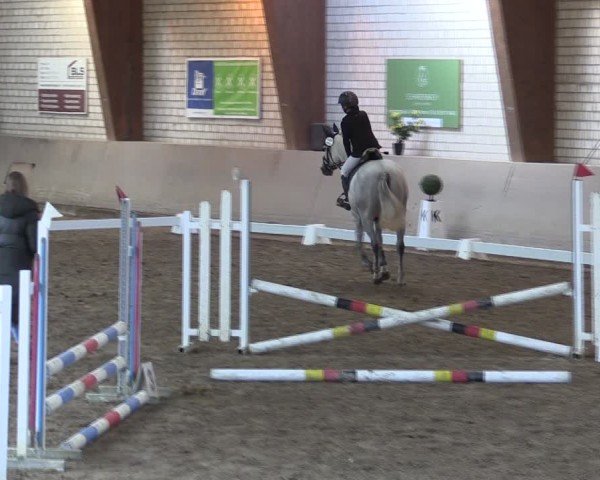Reitturnier Kamen 2024