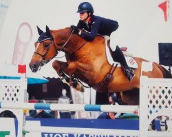 jumper Babylon (KWPN (Royal Dutch Sporthorse), 2006, from Argentinus)