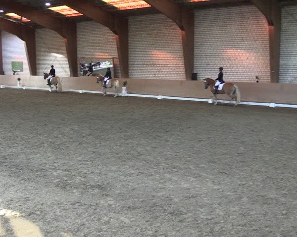 Reitturnier Kamen 2024