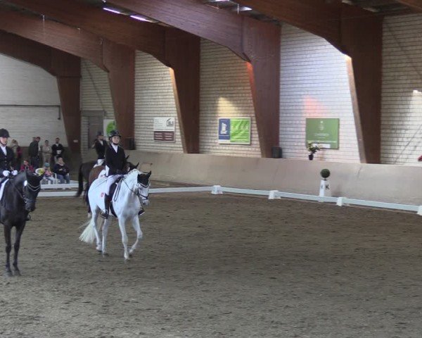 Reitturnier Kamen 2024