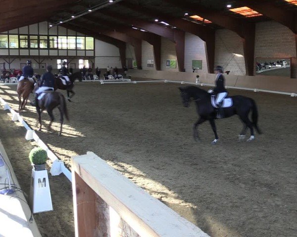 Reitturnier Kamen 2024