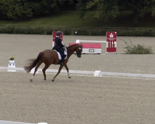 Reitturnier Tübingen 2024