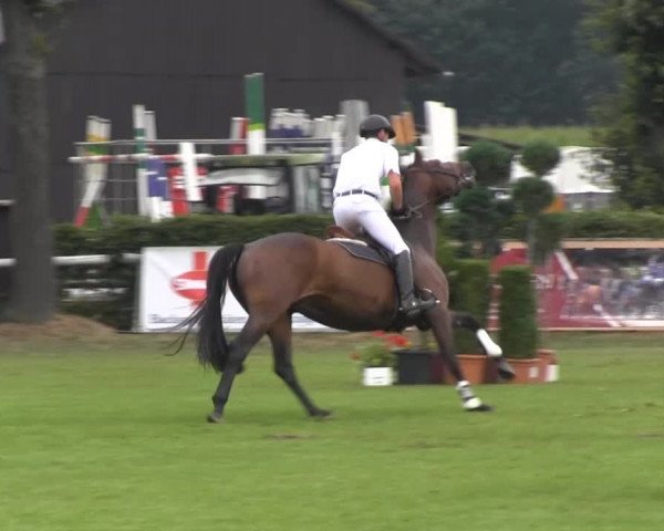 Reitturnier Münster-Handorf 2013