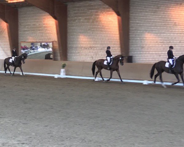 Reitturnier Kamen 2024