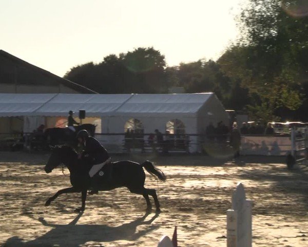 Reitturnier Kamen 2024
