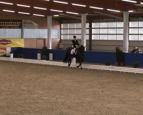 Reitturnier Isterberg 2024
