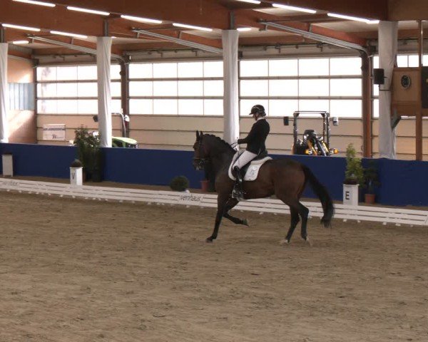 Reitturnier Isterberg 2024