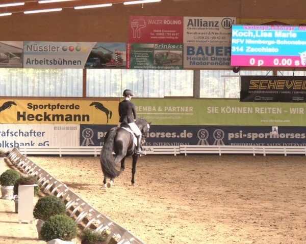Reitturnier Isterberg 2024