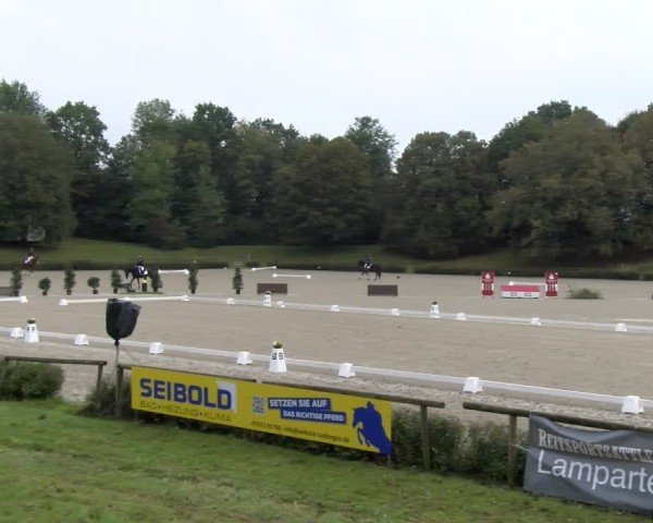 Reitturnier Tübingen 2024