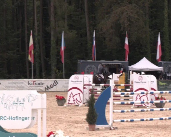 Reitturnier Ranshofen - Braunau am Inn 2024