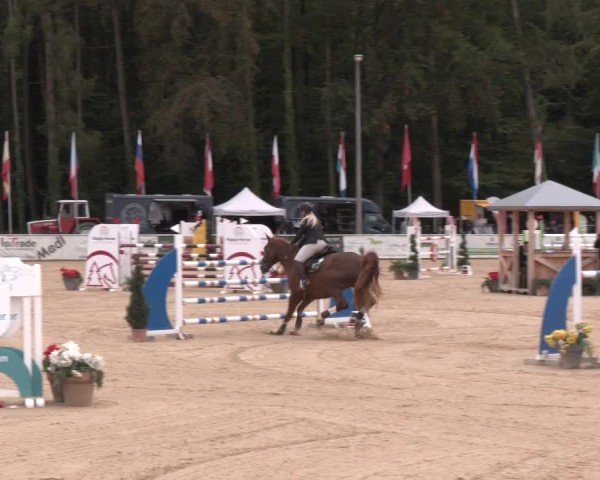 Reitturnier Ranshofen - Braunau am Inn 2024