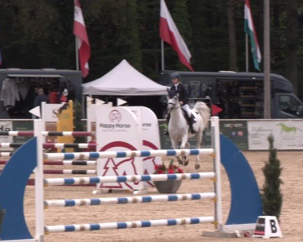Reitturnier Ranshofen - Braunau am Inn 2024
