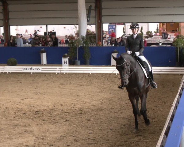 Reitturnier Isterberg 2024