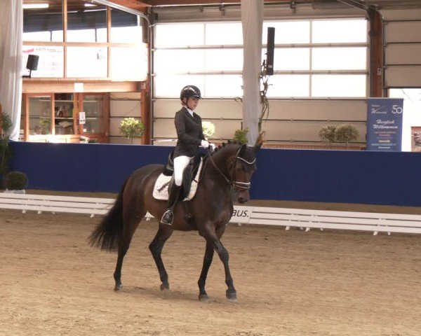 Reitturnier Isterberg 2024