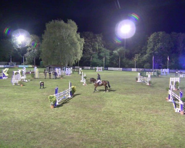 Reitturnier Scharnebeck 2024